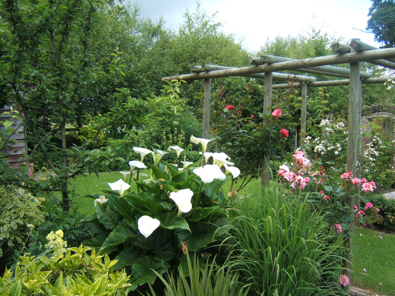 Jane's Garden Jane's Garden